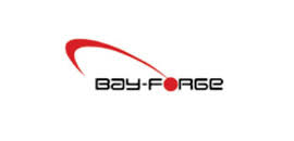 1.-bayforge.jpg